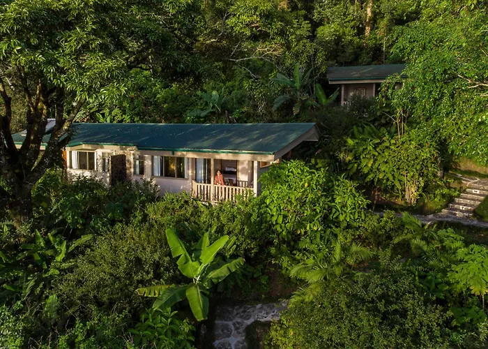 Senda Monteverde Hotel Member Of The Cayuga Collection