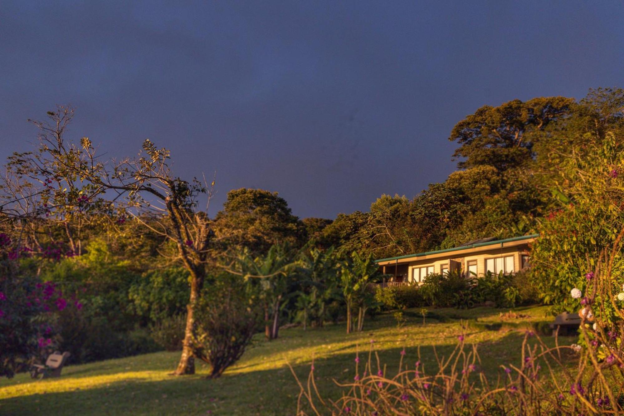 Senda Member Of The Cayuga Collection Hotel Monteverde