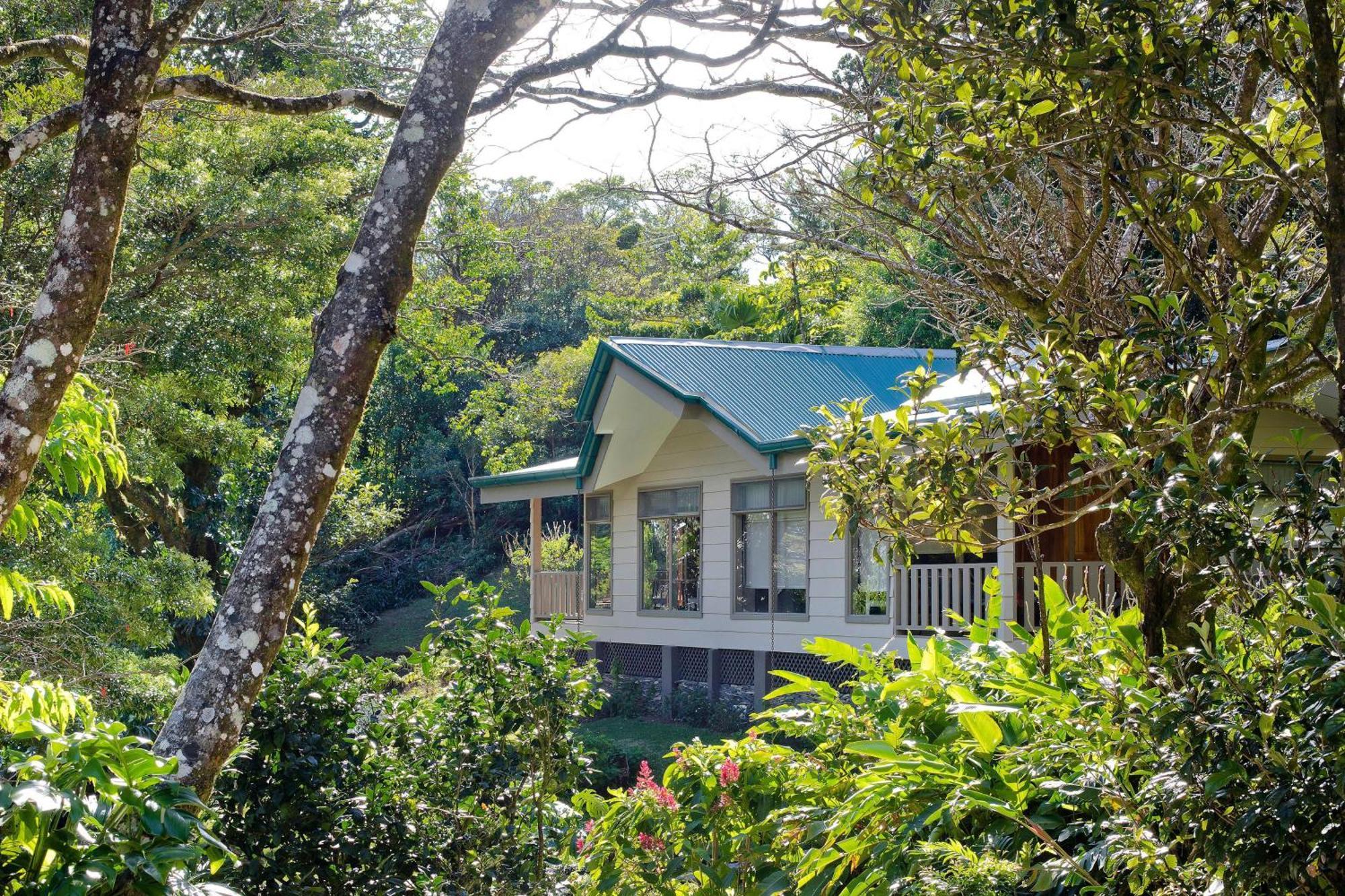Hotel Senda Member Of The Cayuga Collection 5*