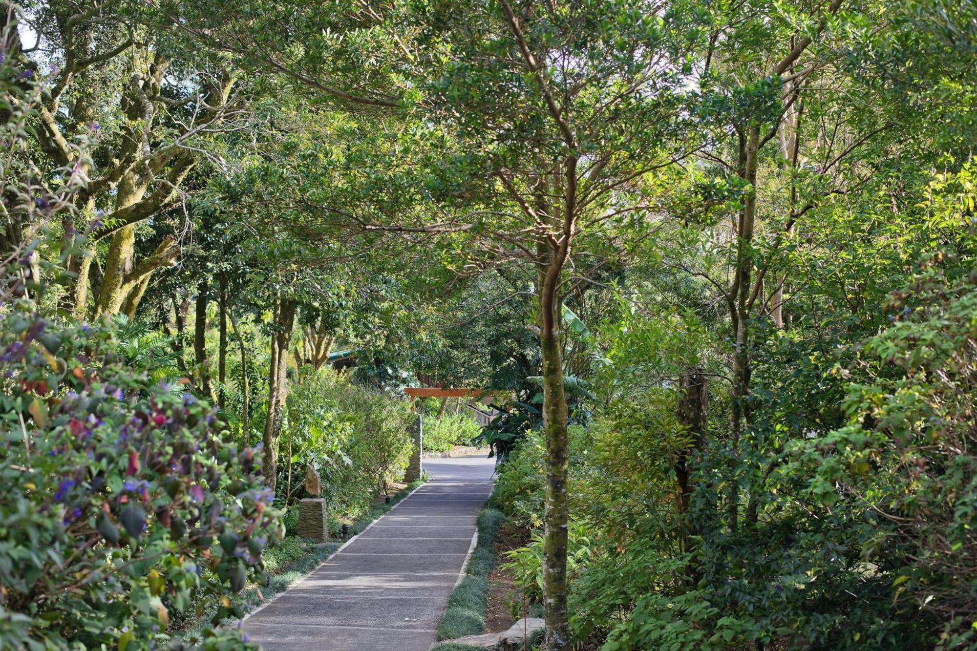 Hotel Senda Member Of The Cayuga Collection Monteverde
