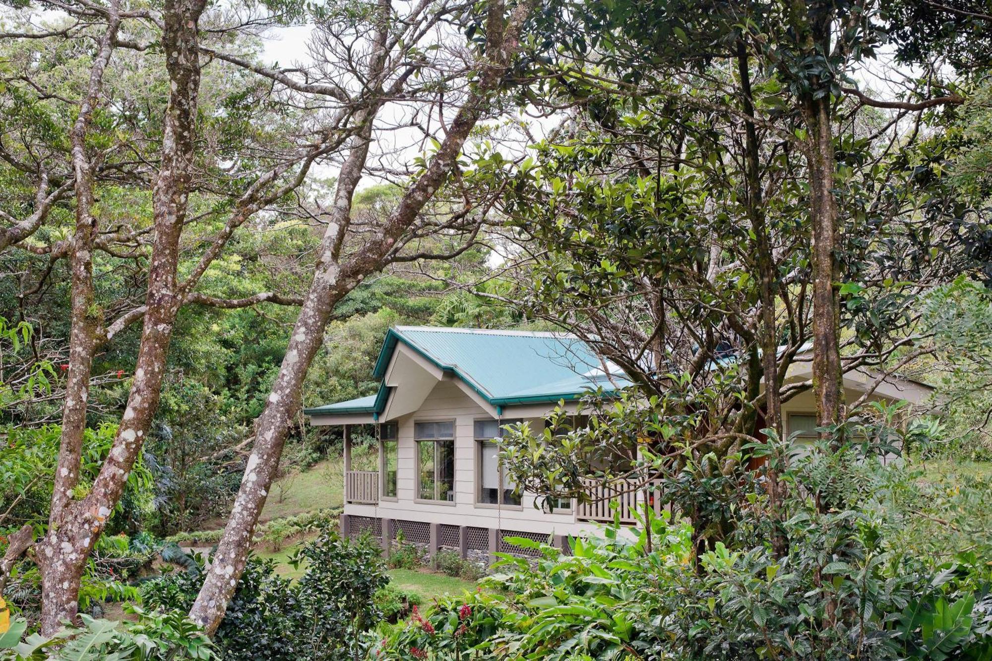 Hotel Senda Member Of The Cayuga Collection 5*