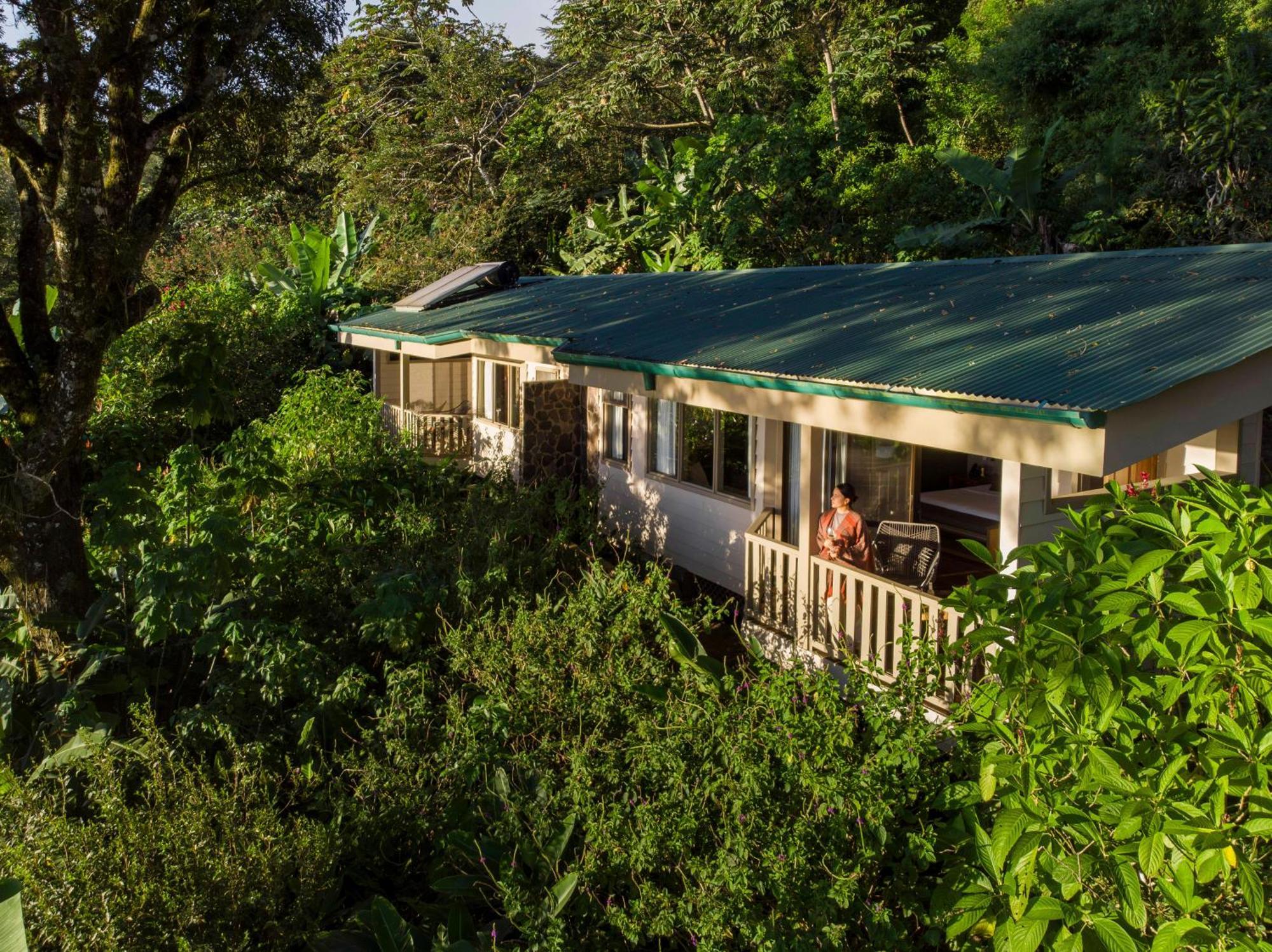 Senda Member Of The Cayuga Collection Monteverde