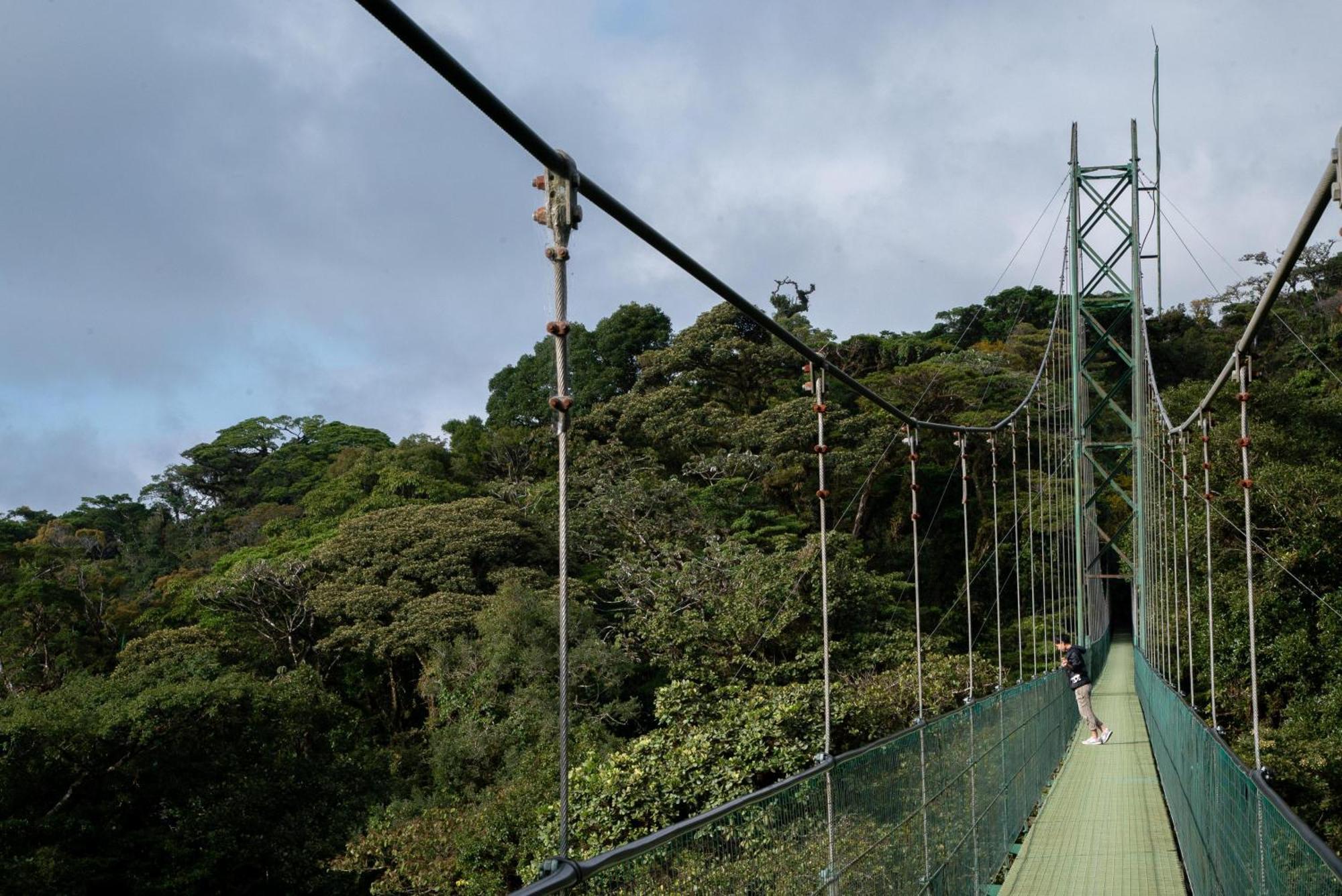 Senda 5* Monteverde